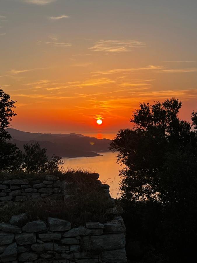 Residence Catalina Saint-Florent  Dış mekan fotoğraf