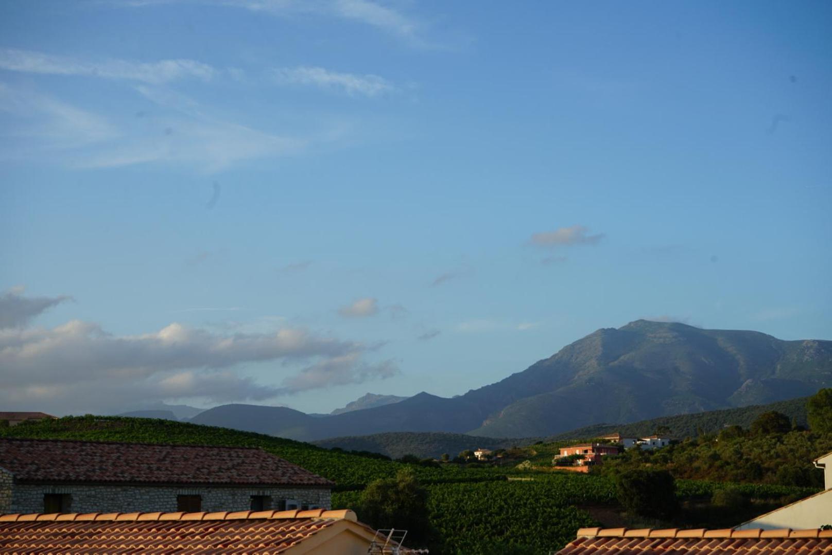 Residence Catalina Saint-Florent  Dış mekan fotoğraf