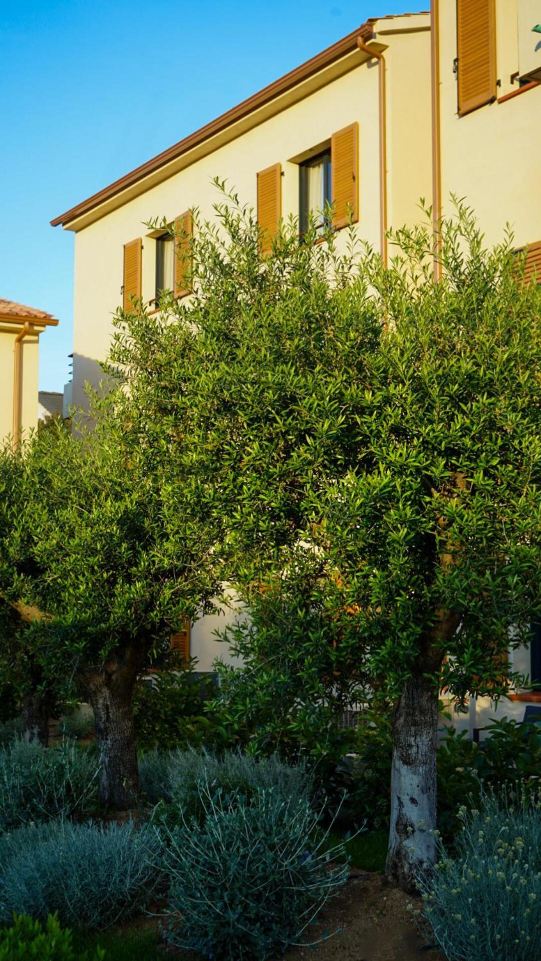 Residence Catalina Saint-Florent  Dış mekan fotoğraf